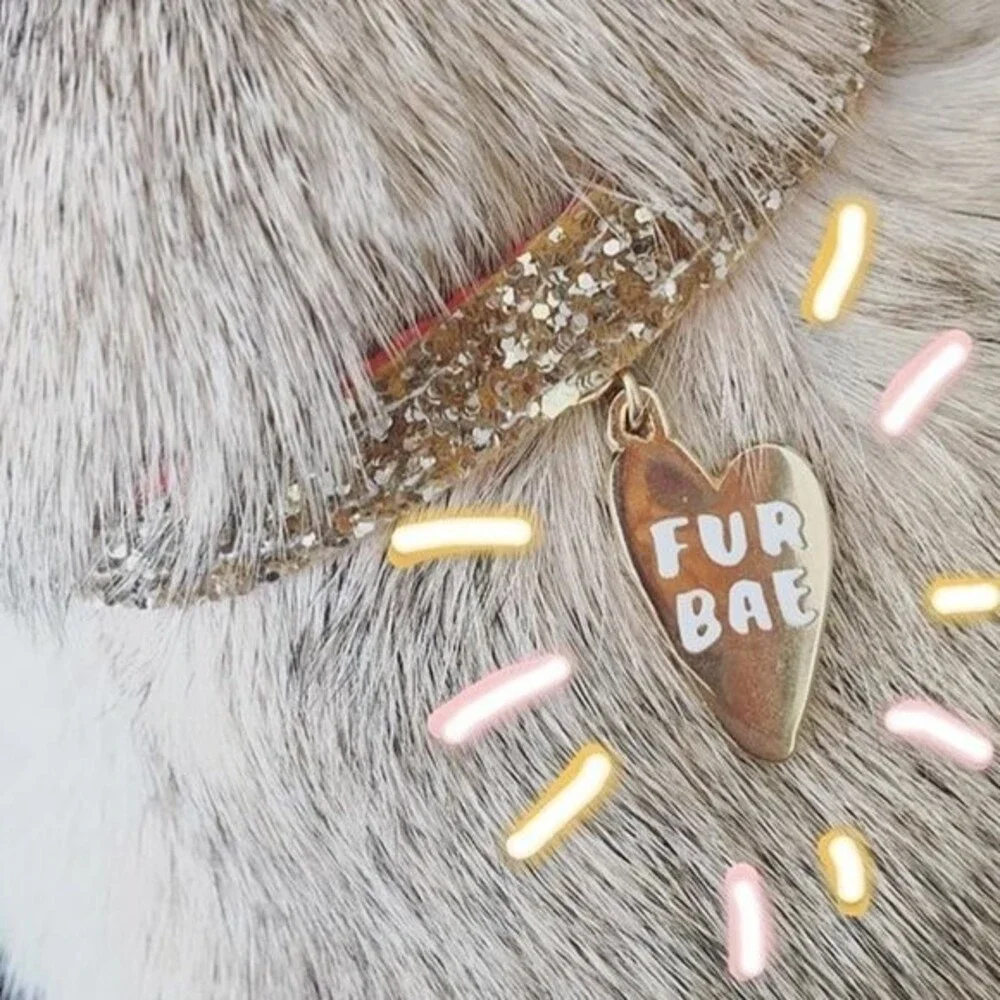 Hello Harriet Cat keychain and 'Fur Bae' Collar Tag
